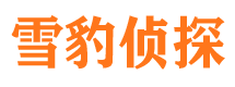 青原市私人侦探